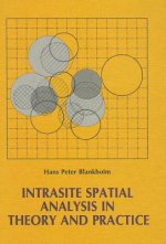 Intrasite Spatial Analysis in Theory and Practice