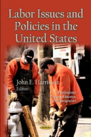 Labor Issues & Policies in the U.S.