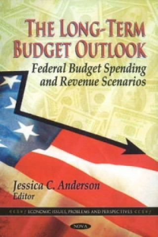 Long-Term Budget Outlook
