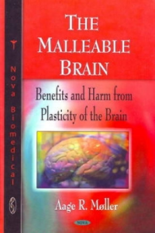 Malleable Brain
