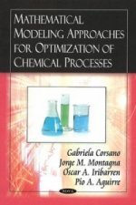 Mathematical Modeling Approaches for Optimization of Chemical Processes