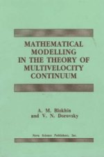 Mathematical Modelling in the Theory of Multivelocity Continuum
