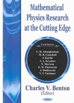 Mathematical Physics Research at the Cutting Edge