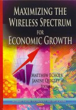 Maximizing the Wireless Spectrum for Economic Growth