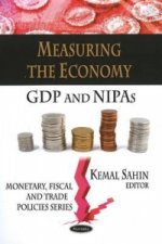 Measuring the Economy