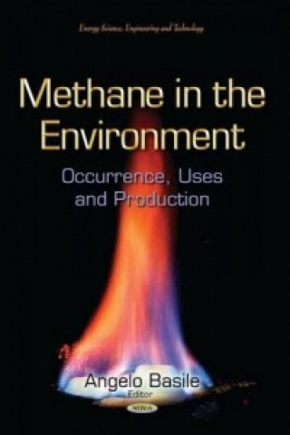 Methane in the Environment