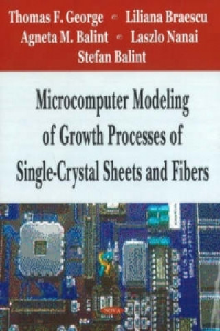 Microcomputer Modeling of Growth Processes of Single-Crystal Sheets & Fibers