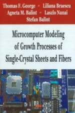Microcomputer Modeling of Growth Processes of Single-Crystal Sheets & Fibers