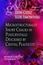 Microstructurally Short Cracks in Polycrystals Described by Crystal Plasticity