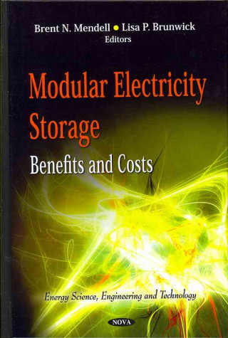 Modular Electricity Storage