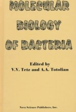 Molecular Biology of Bacteria
