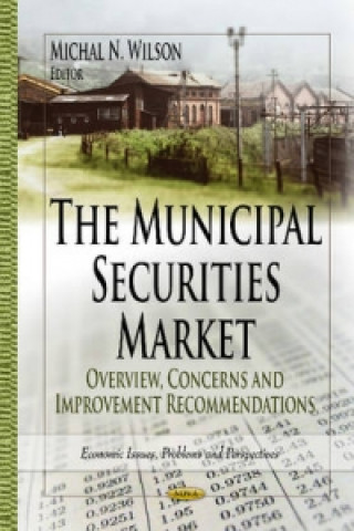 Municipal Securities Market