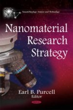 Nanomaterial Research Strategy