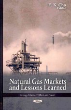 Natural Gas Markets & Lessons Learned