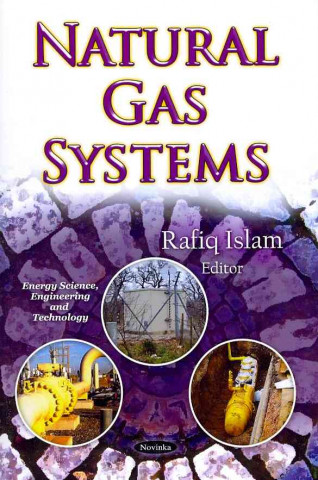 Natural Gas Systems