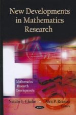 New Developments in Mathematics Research