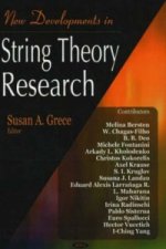 New Developments in String Theory Research
