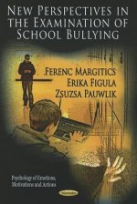 New Perspectives in the Examination of School Bullying