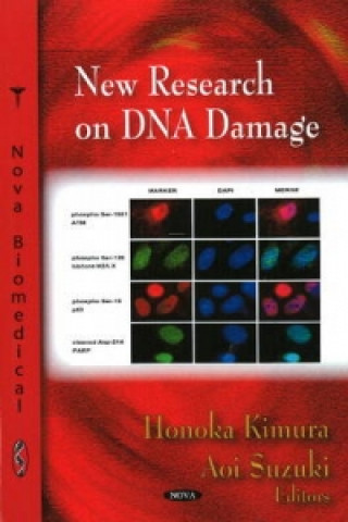 New Research on DNA Damage