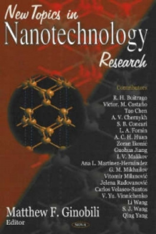 New Topics in Nanotechnology Research