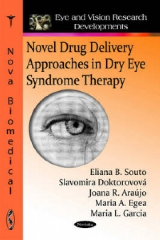 Novel Drug Delivery Approaches in Dry Eye Syndrome Therapy