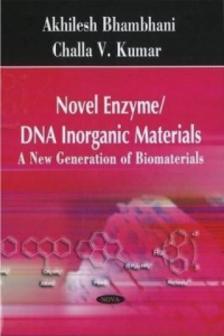 Novel Enzyme / DNA Inorganic Materials