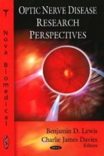 Optic Nerve Disease Research Perspectives
