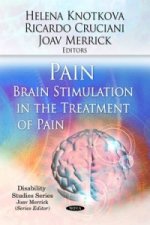 Pain / Brain Stimulation in the Treatment of Pain