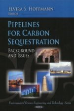 Pipelines for Carbon Sequestration