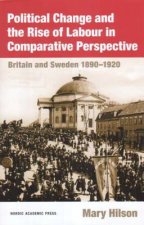 Political Change & the Rise of Labour in Comparative Perspective