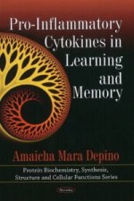Pro-Inflammatory Cytokines in Learning & Memory