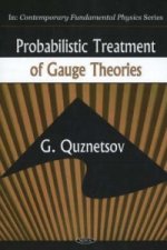 Probabilistic Treatment of Gauge Theories