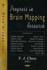 Progress in Brain Mapping Research