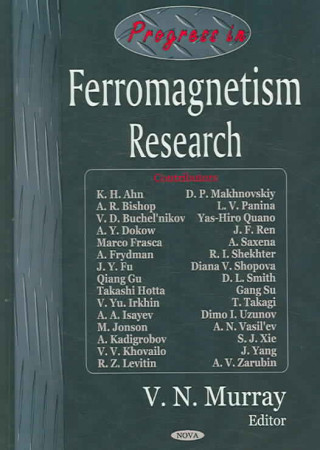 Progress in Ferromagnetism Research