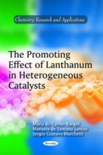 Promoting Effect of Lanthanum in Heterogeneous Catalysts