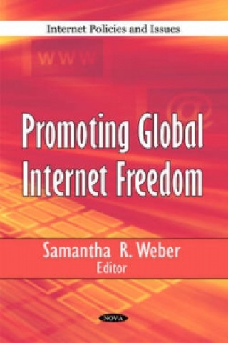 Promoting Global Internet Freedom