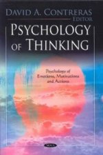 Psychology of Thinking