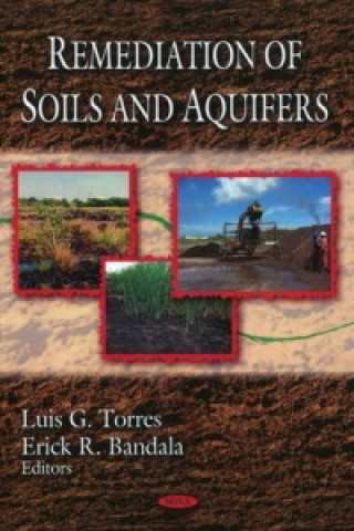 Remediation of Soils & Aquifers