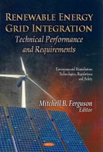 Renewable Energy Grid Integration