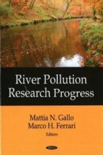 River Pollution Research Progress