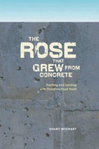 rose that grew from concrete