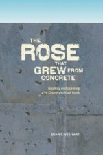 rose that grew from concrete