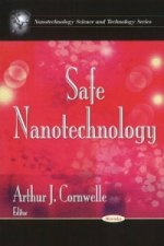 Safe Nanotechnology