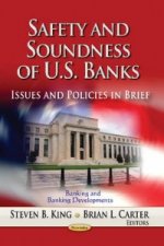 Safety & Soundness of U.S. Banks