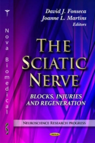 Sciatic Nerve