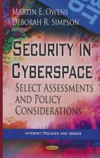 Security in Cyberspace