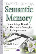 Semantic Memory