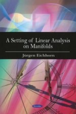Setting of Linear Analysis on Manifolds