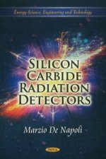 Silicon Carbide Radiation Detectors