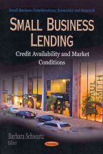 Small Business Lending